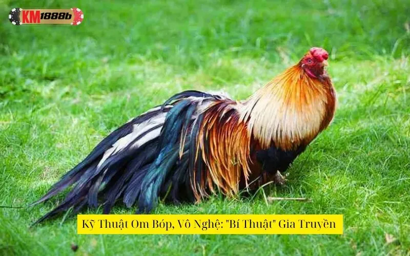 Kỹ Thuật Om Bóp, Vô Nghệ: "Bí Thuật" Gia Truyền