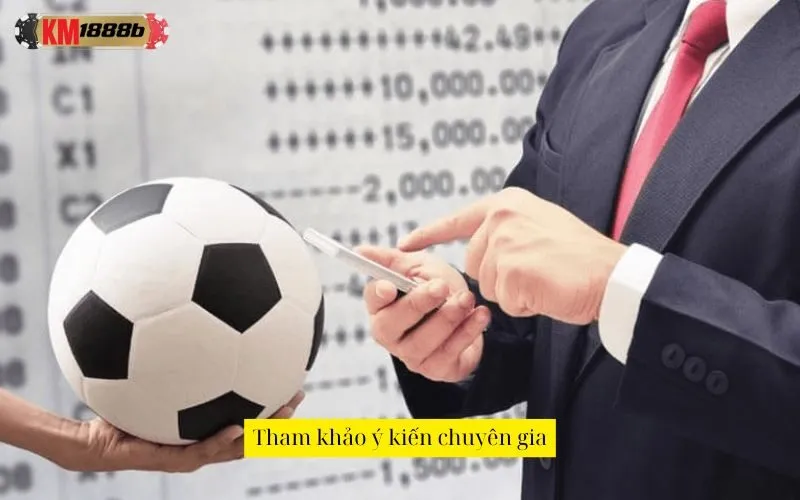 Tham khảo ý kiến chuyên gia