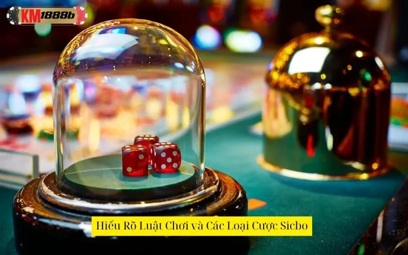 Hiểu Rõ Luật Chơi và Các Loại Cược Sicbo