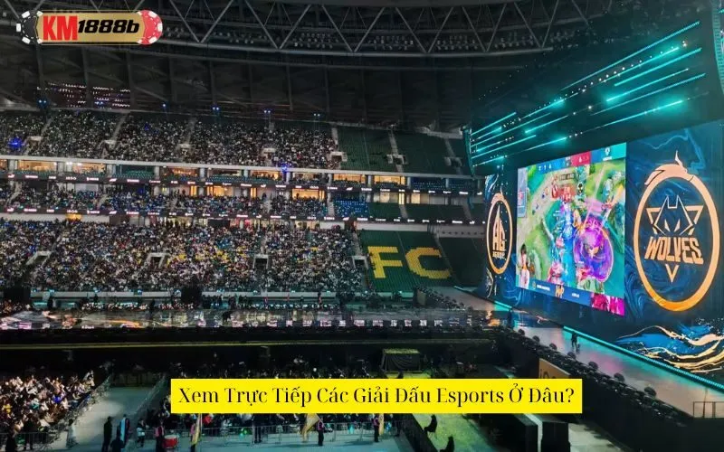 Xem Trực Tiếp Các Giải Đấu Esports Ở Đâu?