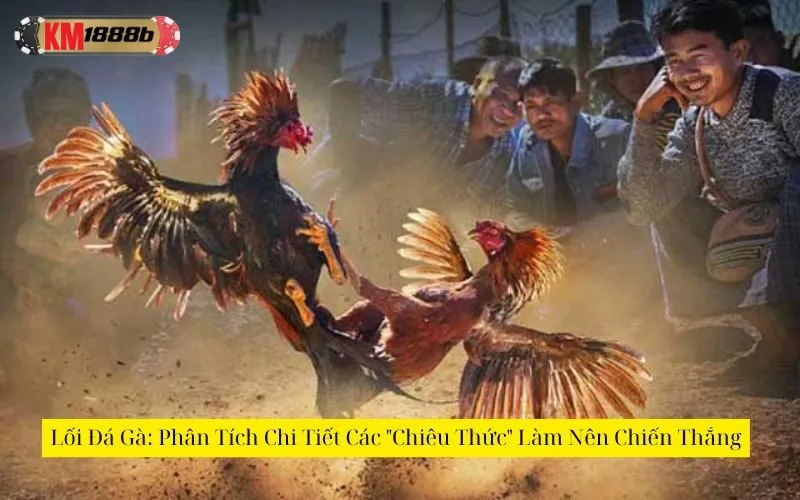 Lối Đá Gà: Phân Tích Chi Tiết Các "Chiêu Thức" Làm Nên Chiến Thắng