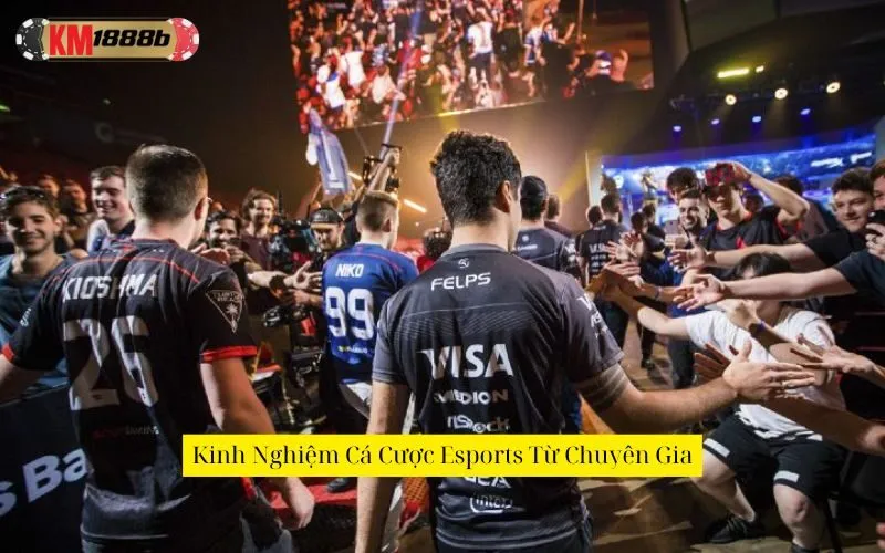 Kinh Nghiệm Cá Cược Esports Từ Chuyên Gia